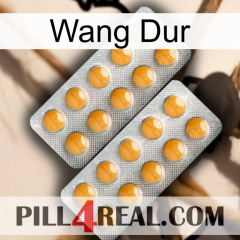Hard Wang levitra2
